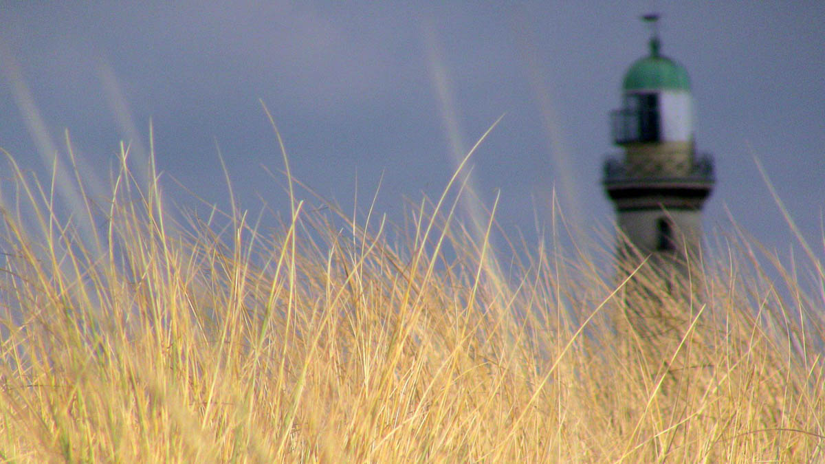 Artsy shot of grass and the lighthouse at Warnemuende